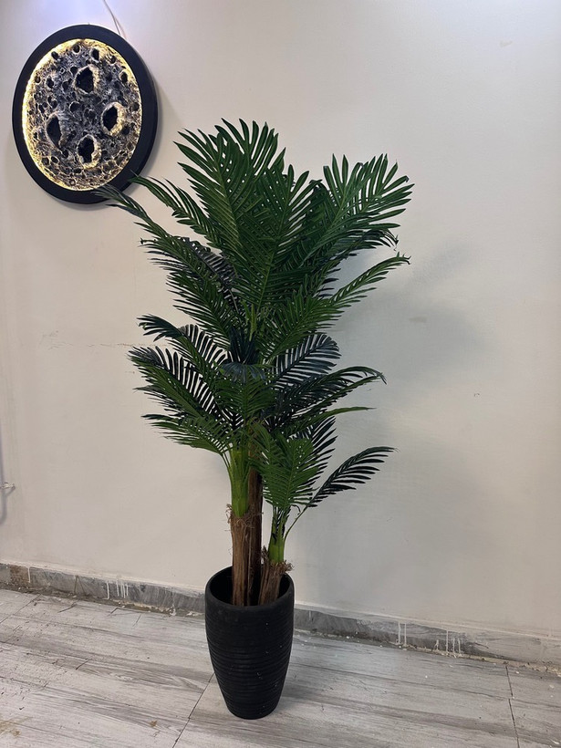 درختچه مصنوعی کنتیا با کیفیت عالی