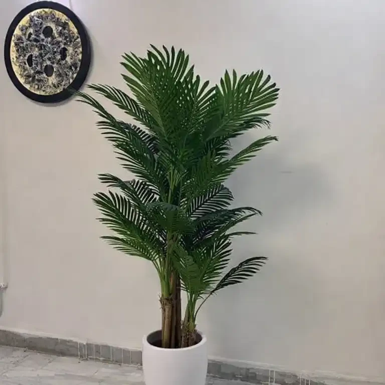 خرید درختچه مصنوعی کنتیا سه تنه